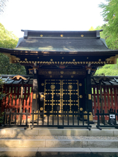 C3D884C9-CA43-4DA9-8A5D-64E1BC20A7B9.jpg