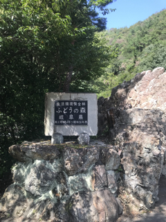 C850600F-45DE-4552-A81A-40BB478B83A6.jpg